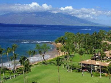 Wailea Condo 895339
