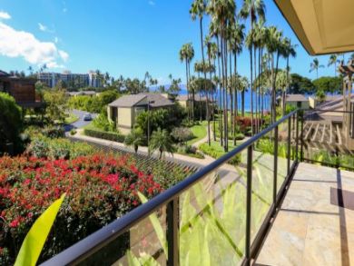 Wailea Condo 895341