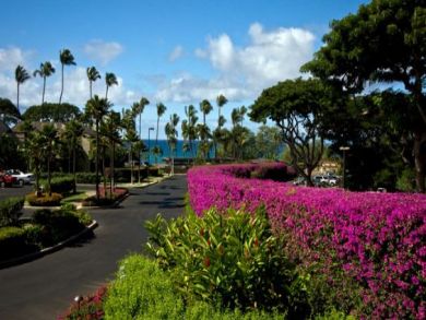Wailea Two Bedroom Vacation Rental  Just Perfect