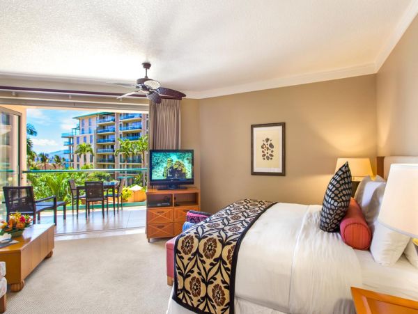 Spacious Studio with Lovely Amenities