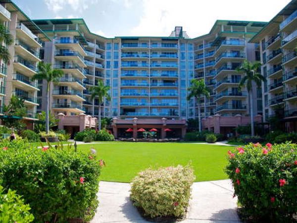 Spacious Studio with Lovely Amenities