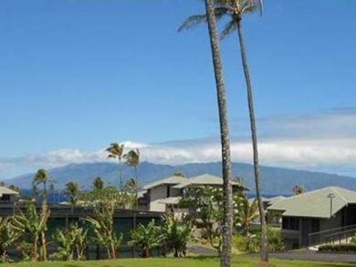 Kapalua Condo 895358