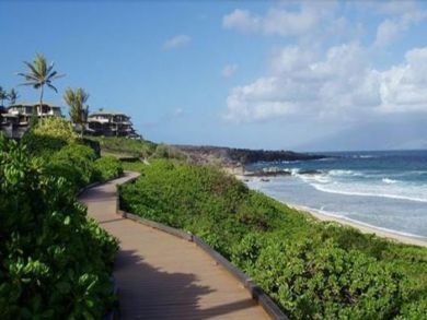 Kapalua Condo 895359