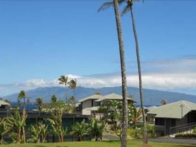 Kapalua Condo 895365