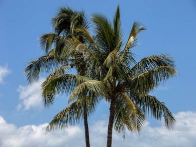 Stunning Ocean Views South Kihei Stunning Ocean Views South Kihei