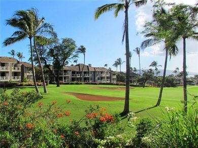 One Of Mauis Best Vacation Communities Perfect Wailea Villas