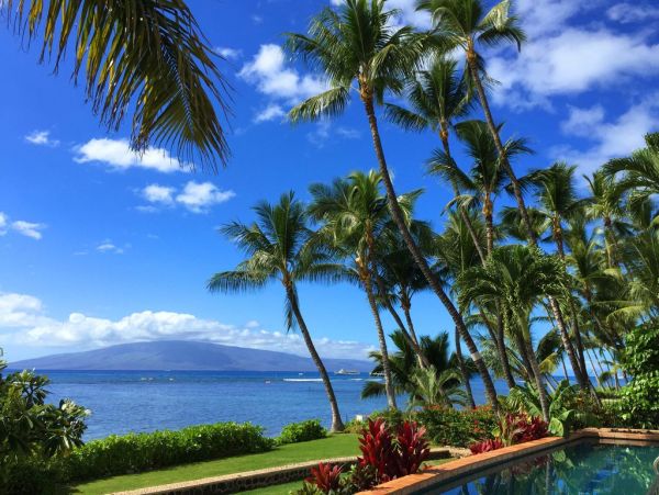 Luxury 5 Bedroom Home with Full Ocean View.