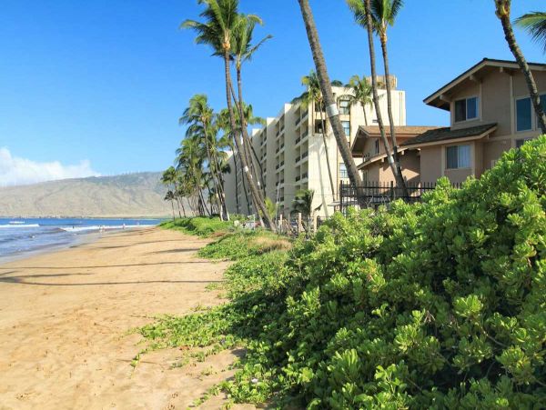 Three Bedroom Condo Steps to the Beach