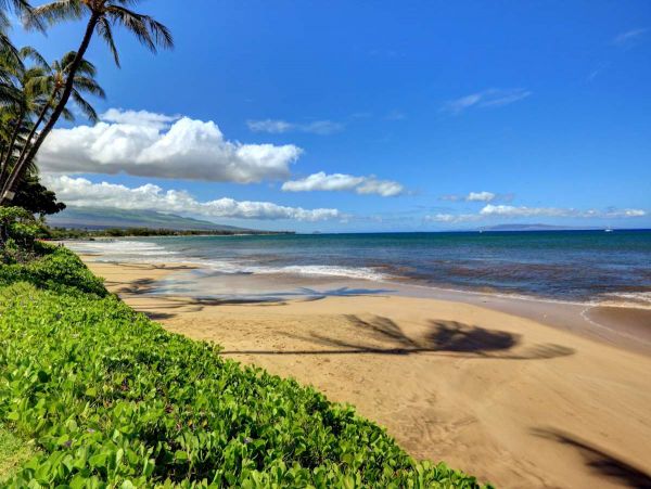 Three Bedroom Condo Steps to the Beach
