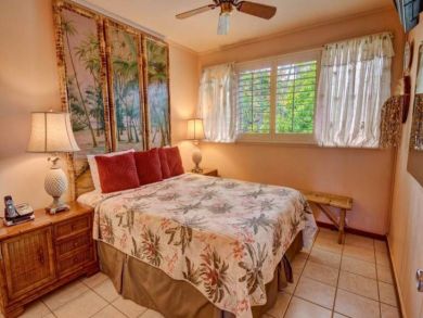 Lahaina Hawai i Maui Rental
