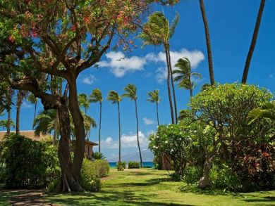 Lahaina Hawai i Maui Rental