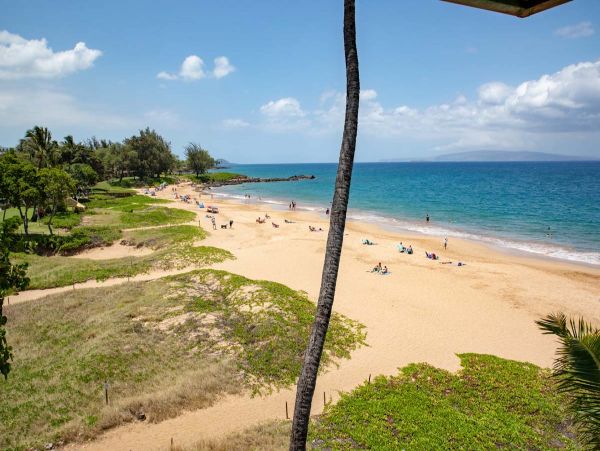 Luxury 5 Bedroom Penthouse Maui Largest Beachfront