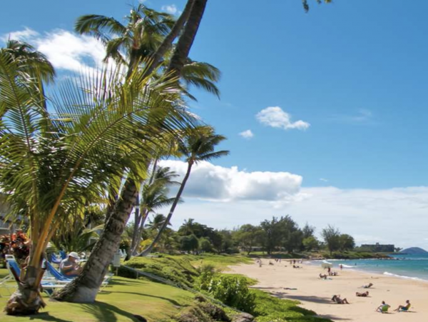 Luxury 5 Bedroom Penthouse Maui Largest Beachfront