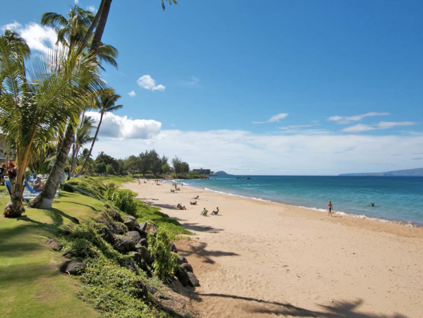 Luxury 5 Bedroom Penthouse Maui Largest Beachfront