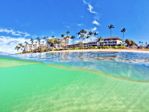 Luxury 5 Bedroom Penthouse Maui Largest Beachfront