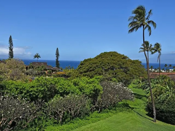 Kaanapali Condo 895546