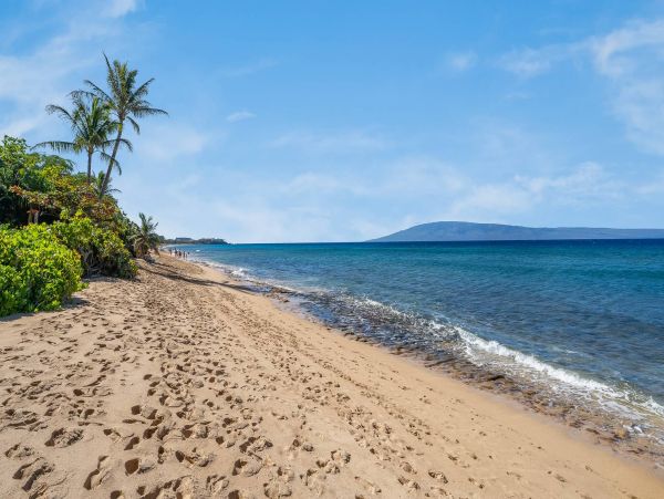 Luxury Pacific Views in Kaanapali Rental - One of the Best!