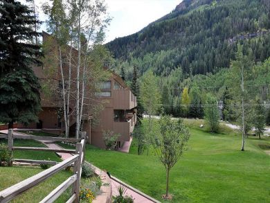 Vail Value Rentals with Pool & Hot Tub- Call Vail Agent!