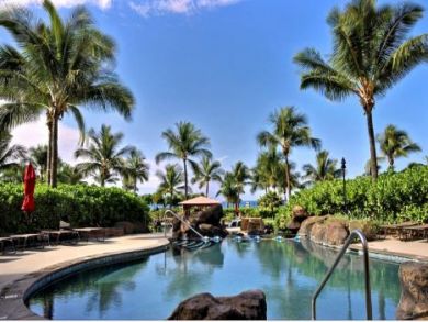 Kaanapali  Maui Condo 895681