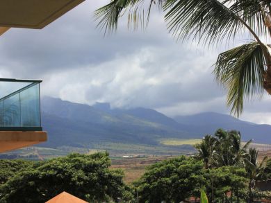 Kaanapali  Maui Condo 895681