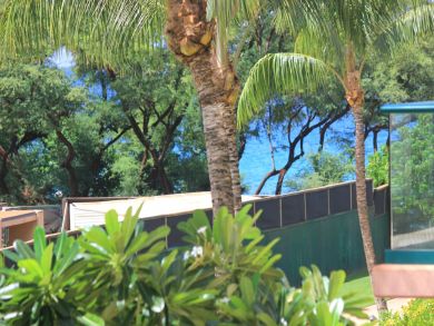 Kaanapali  Maui Condo 895681