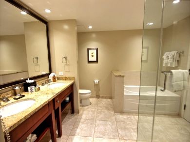 Kaanapali  Maui Condo 895681