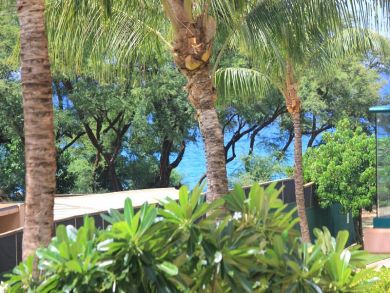 Kaanapali  Maui Condo 895681