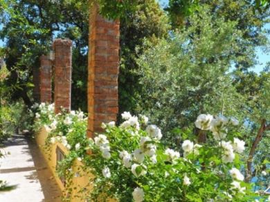 Positano Vacation Rentals