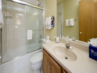 Vail Lionshead Condo 895711