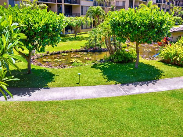 Two Bedroom Vacation Condo Kaanapali Ocean Views! Great Rate