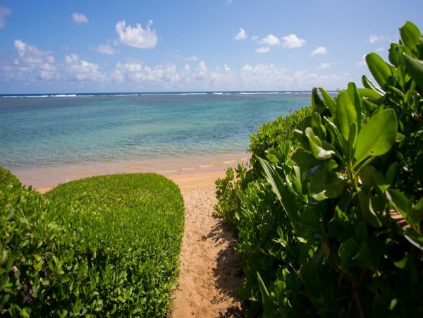 Luxury Four Bedrooms Hawaii Beachfront Villa