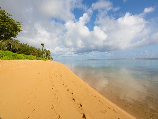 Luxury Four Bedrooms Hawaii Beachfront Villa