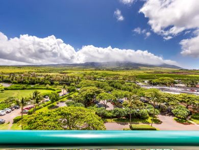 Kaanapali  Maui Condo 895803