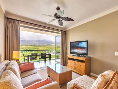 Kaanapali  Maui Condo 895803