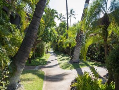 Pathway Around Complex
