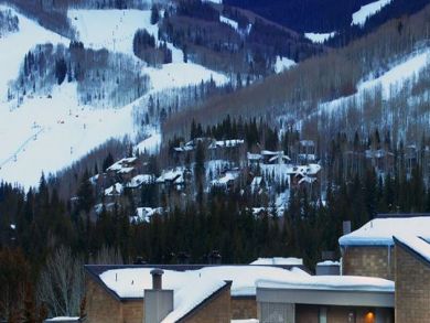 Vail Lionshead Condo 895831