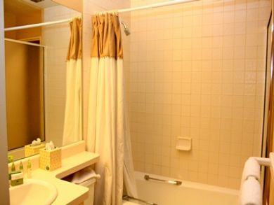 Vail Lionshead Condo 895844