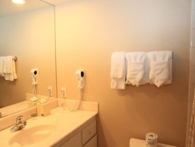 Vail Lionshead Condo 895858