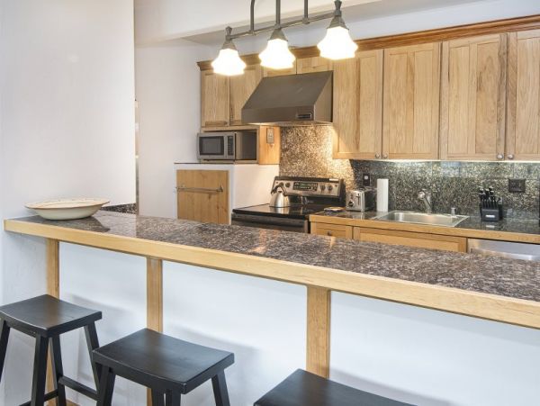 Two Bedroom Condo in Lionshead Village Walk to Lift