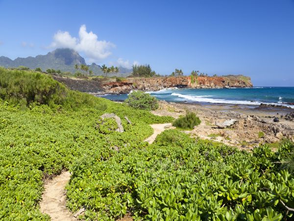 Poipu Three Bedroom Luxury Rental Overlooking the Beach!