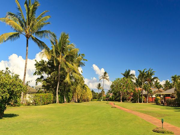 Poipu Three Bedroom Luxury Rental Overlooking the Beach!
