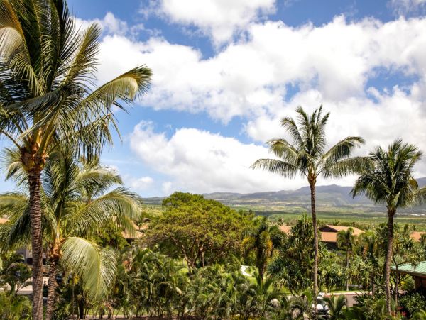Beautiful Vacation Rental with Great Amenities