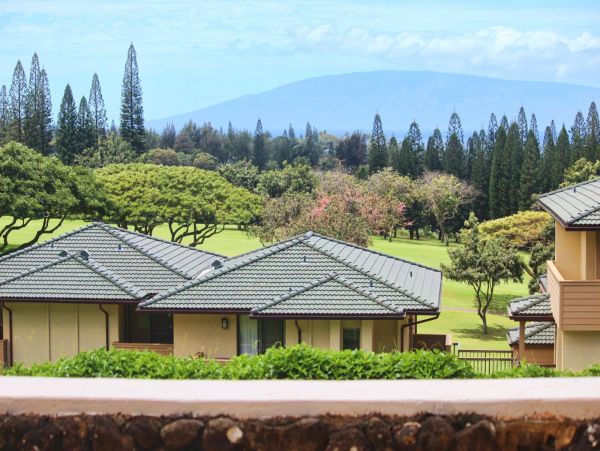 Kapalua  Maui Condo 895919