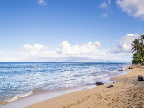 Kaanapali Luxury One Bedroom Walk Out Rental