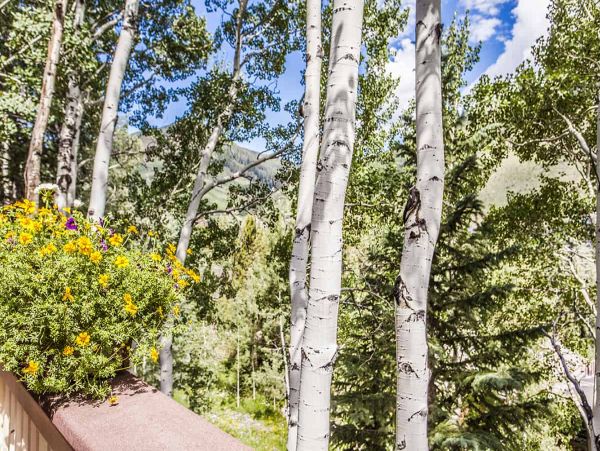 Walk to Lift from this Vail Rental