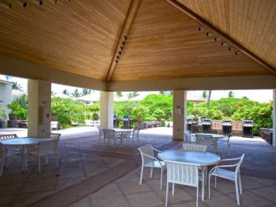 Kohala Coast Condo 896045