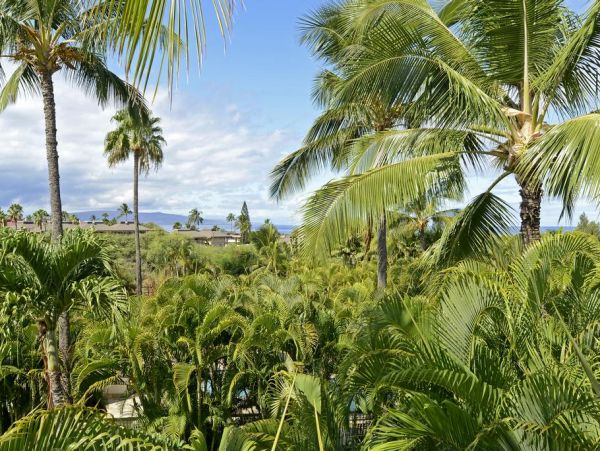 Kihei 3/3 Condo Sleeps 10
