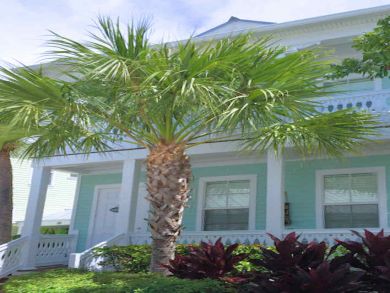 The Florida Keys Home 896095