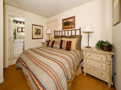 Vail Lionshead Condo 896140