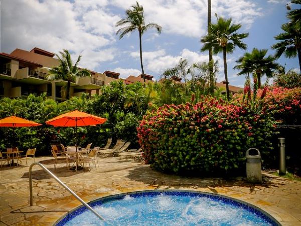 Wailea Condo 896151